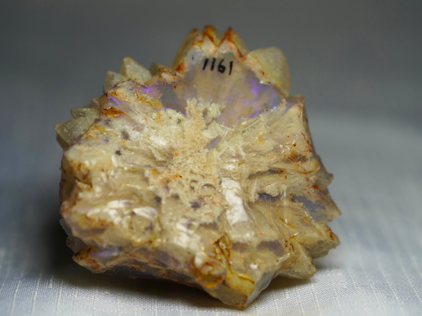 'Echidna' Opal Pineapple – RedEarthOpal